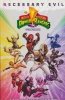 MIGHTY MORPHIN POWER RANGERS VOL 13 TP [9781684156184]
